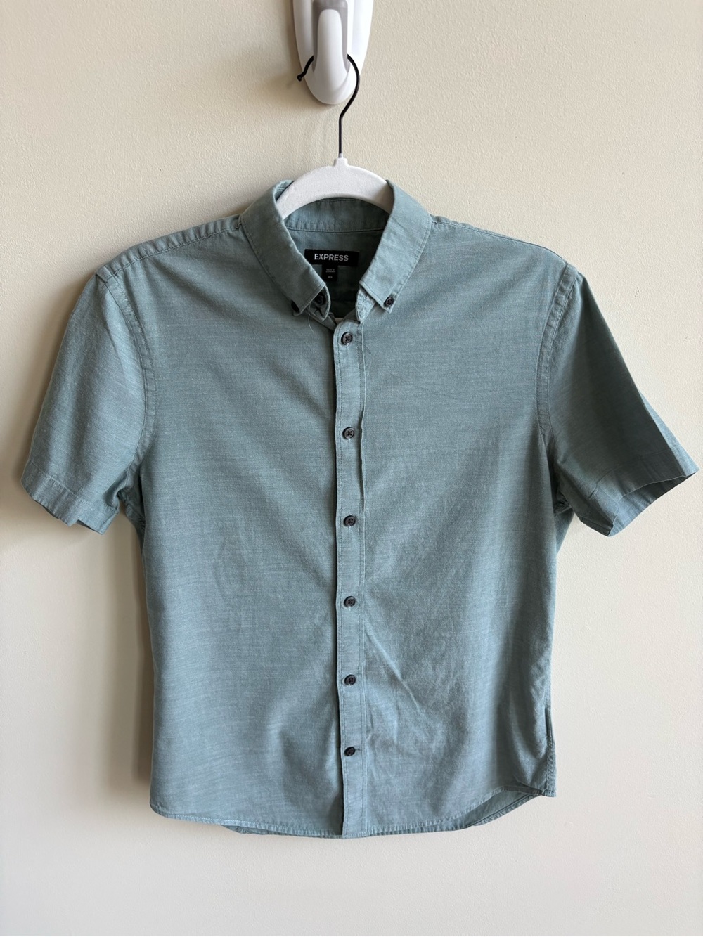 Express Men's Short Sleeve Button-Down Shirt in Sage